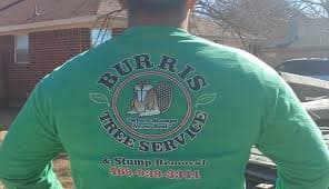 Featured post - 5 Signs It’s Time to Call a Tree Service Professional