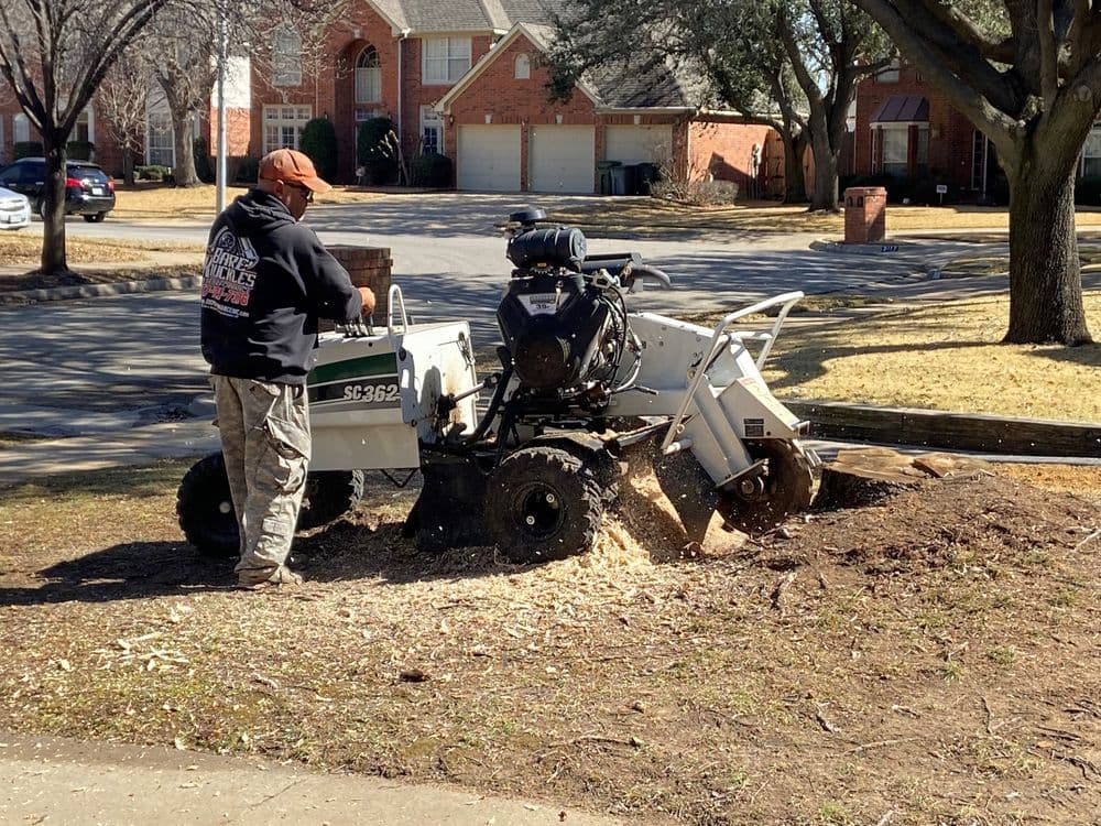 About Burris Tree Service