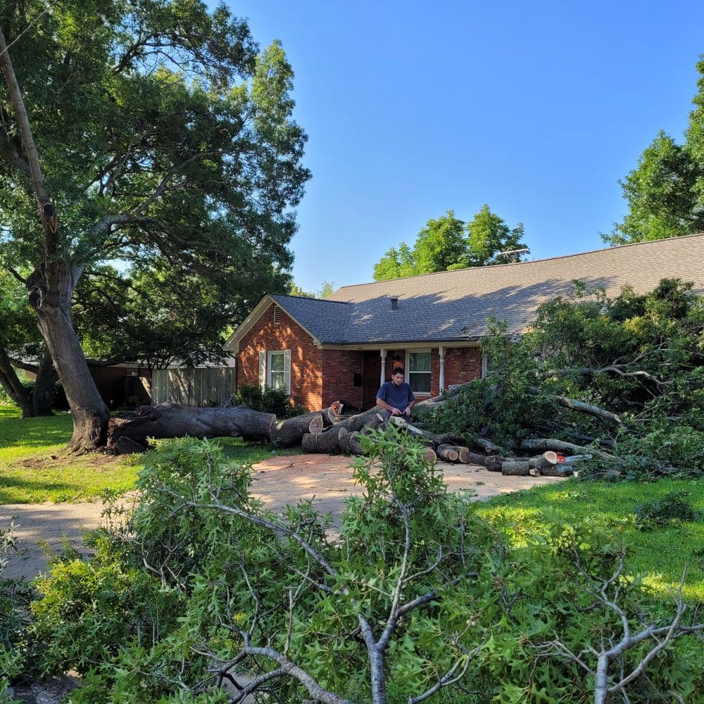 Tree removal service at residential home with large fallen tree branches in yard.