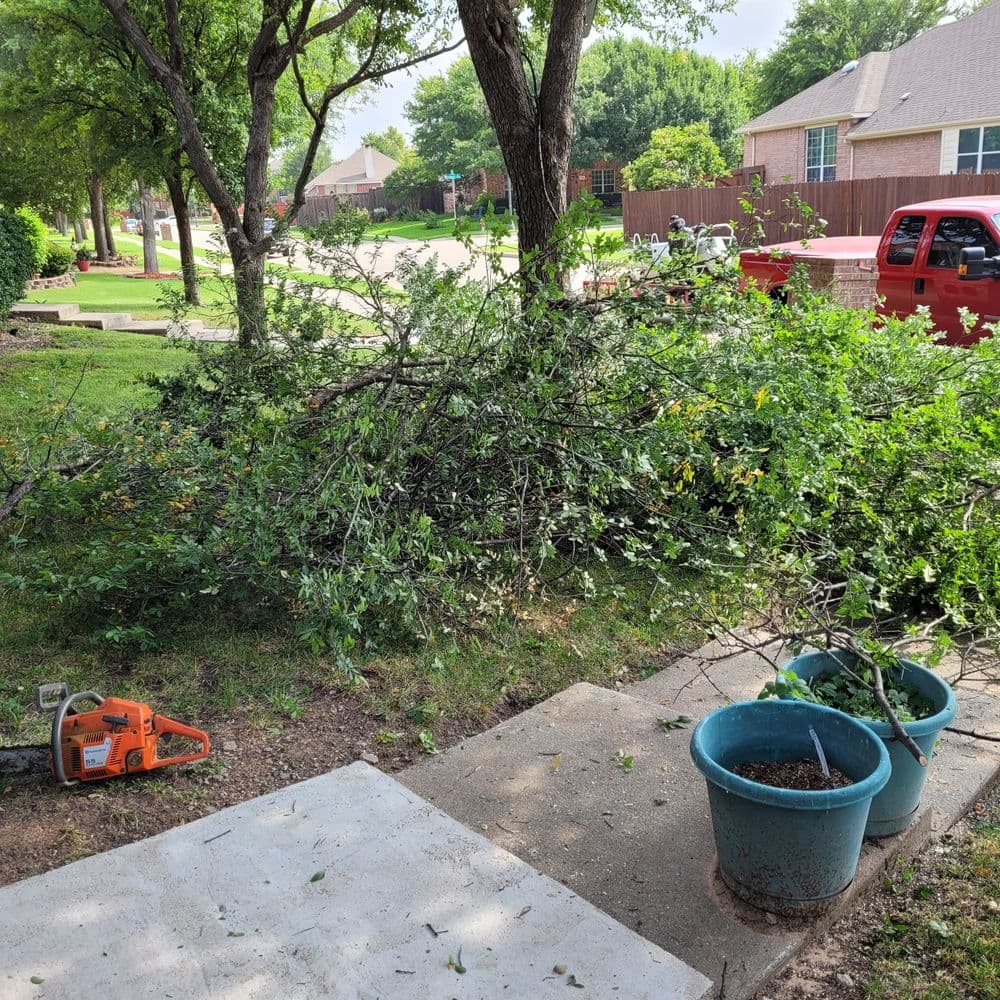 Tree debris and branches piled on lawn with potted plants and a red pickup truck in background.