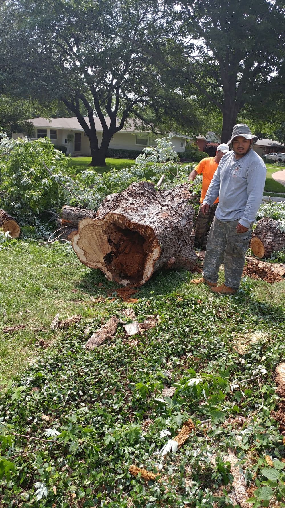 Tree removal workers near a large felled log and scattered branches in a residential yard.